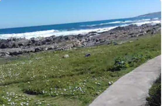 Self Catering Unit 7, Sandbaai Hermanus Exteriör bild